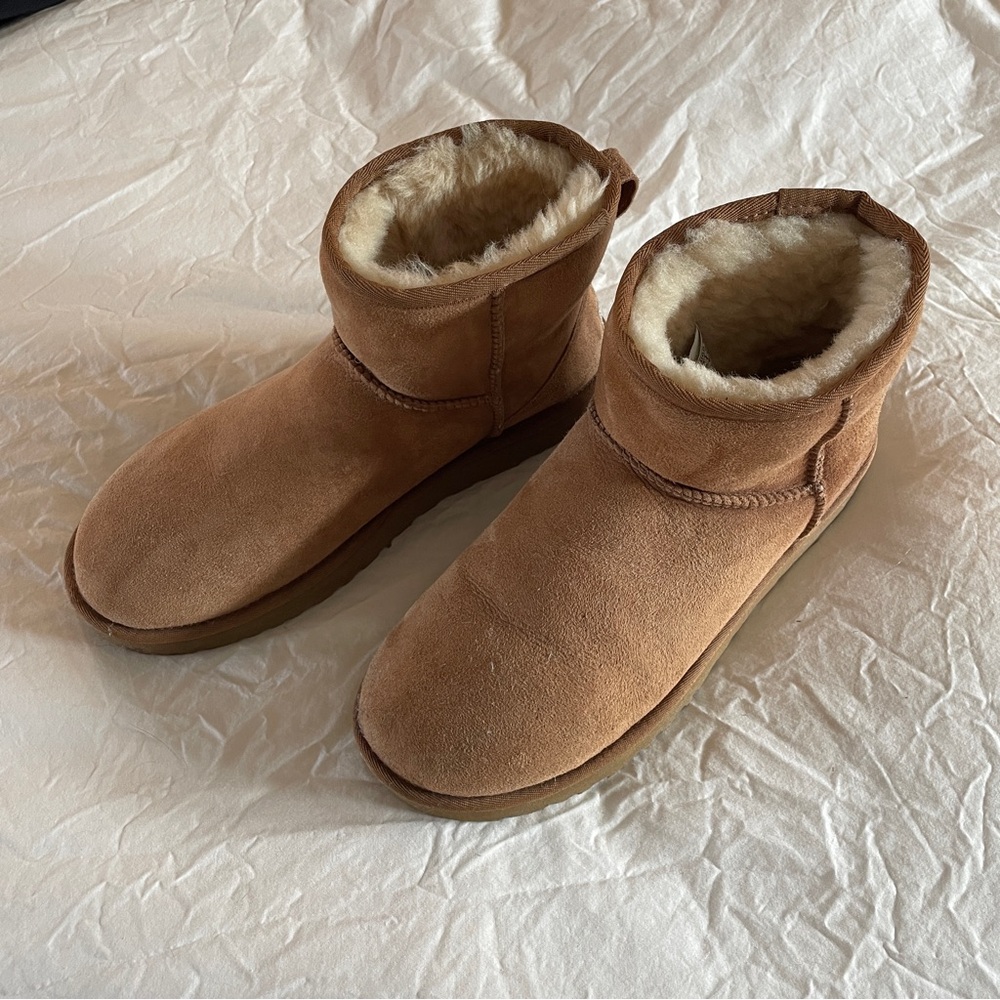 Ugg Australia Short in Chestnut